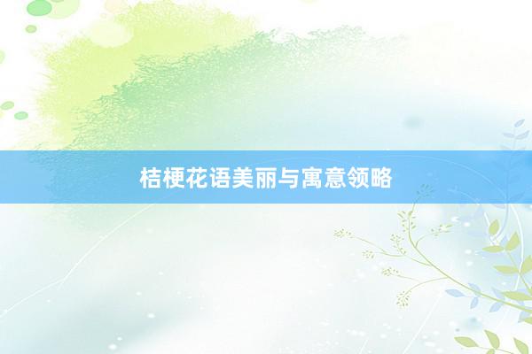 桔梗花语美丽与寓意领略