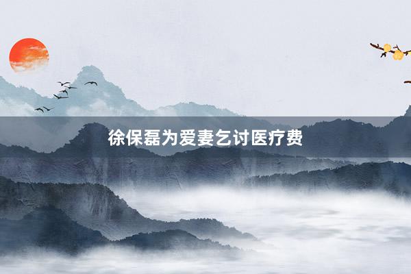 徐保磊为爱妻乞讨医疗费