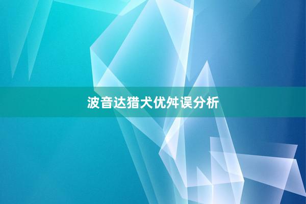 波音达猎犬优舛误分析