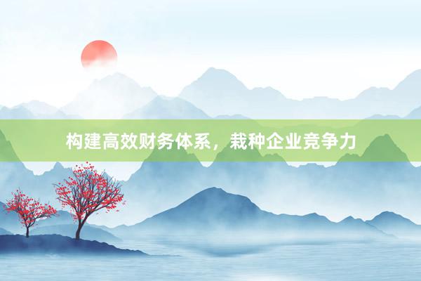 构建高效财务体系,栽种企业竞争力