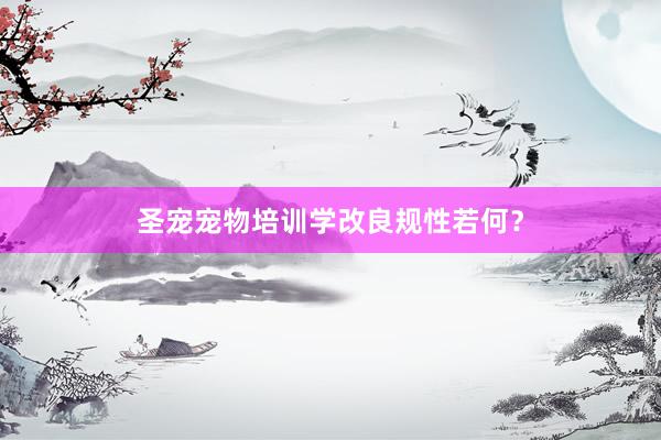 圣宠宠物培训学改良规性若何？